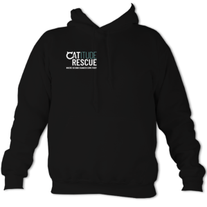 ChildHoodiesTeamFrontBLK